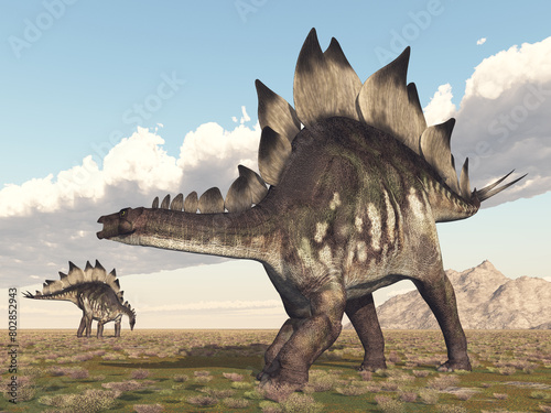 Dinosaurier Stegosaurus in einer Landschaft photo
