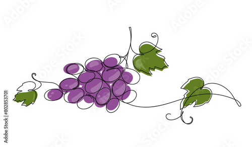 Continuous one line of grape bunch on white background. Vine. Hand drawn minimalistic design for logo, icon or emblem.