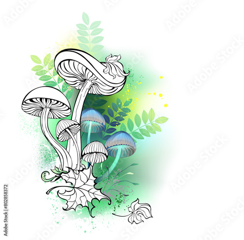 Outline mushrooms on forest background