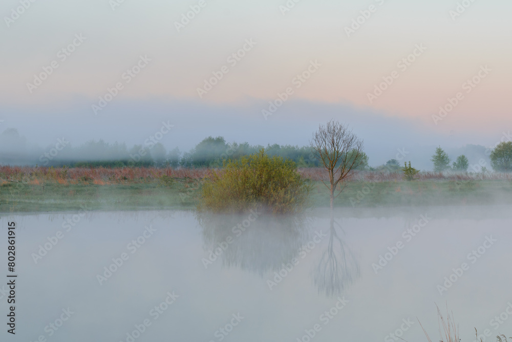 Fototapeta premium awesome foggy morning on the lake