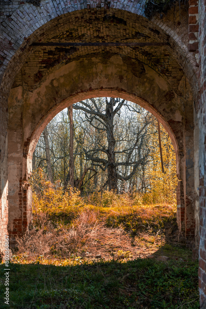 A brick arch in an abandoned, old building. View of the forest across the brick river.