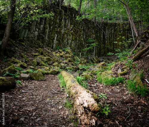 Natural wonders, basalt columns, stone formation, quarry in the forest, Rhön, Franconia, wanderer