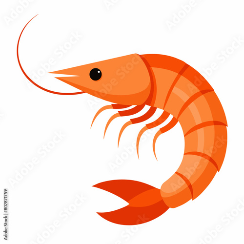 Shrimp vector clipart art illustration, solid white background (8)