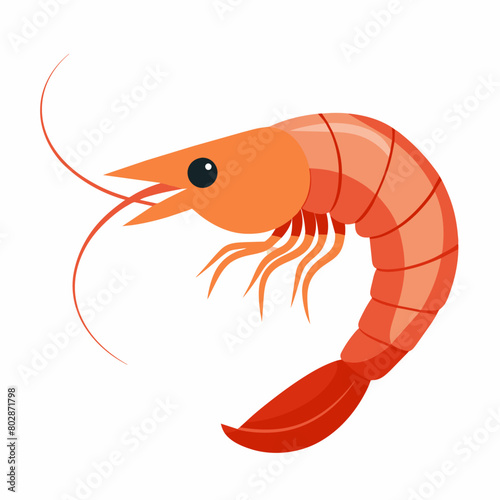 Shrimp vector clipart art illustration, solid white background (14)
