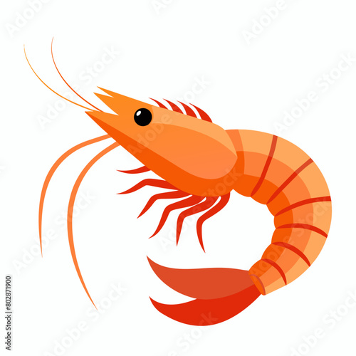 Shrimp vector clipart art illustration, solid white background (5)