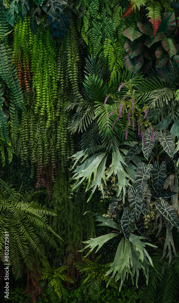 Tropical green leaves background, Nature Wall Lush Foliage Leaf Texture, Vertical image. Tropical green leaves background, Nature Wall Lush Foliage Leaf Texture, Vertical image.