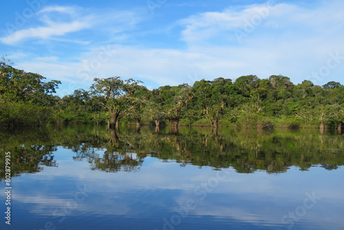 amazon river and rainforest © Hanlu