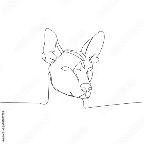 Xoloitzcuintli dog breed, Mexican hairless dog, national dog of Mexico one line art. Continuous line drawing of friend, dog, doggy, friendship, care, pet, animal, family, canine.