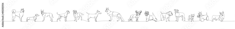 Fototapeta premium A set of dogs of different breeds in full height, guard dog, service dog, companion dog one line art. Continuous line drawing of friend, dog, doggy, friendship, care, pet, animal, family, canine.