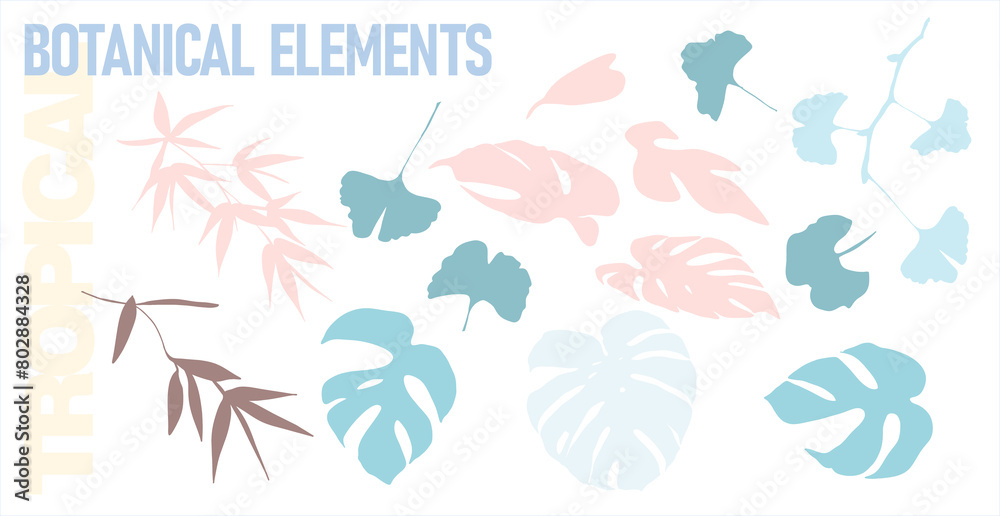 Set of tropical silhouettes of leaves and twigs in pastel colors on a transparent background. Digital abstract illustration for branding, scrapbooking, social media