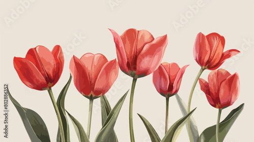 Beautiful tulip flowers on light background Vector style