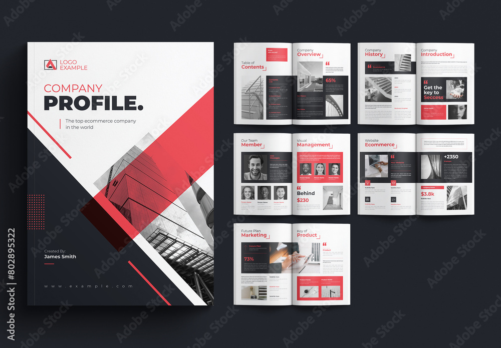 Business Presentation Folder