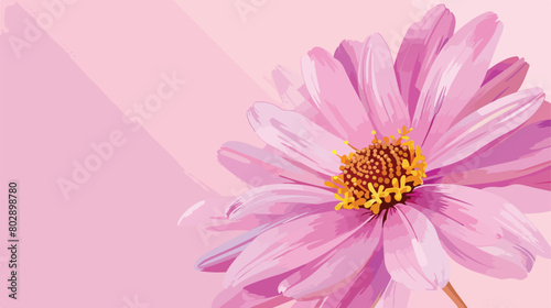 Beautiful aster flower on pink background with space