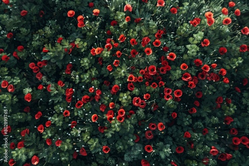 2022 - impressionistic aerial over Ukraine fields with wildflowers growing suggests Ukranian agriculture and landscape.. Beautiful simple AI generated image in 4K, unique.