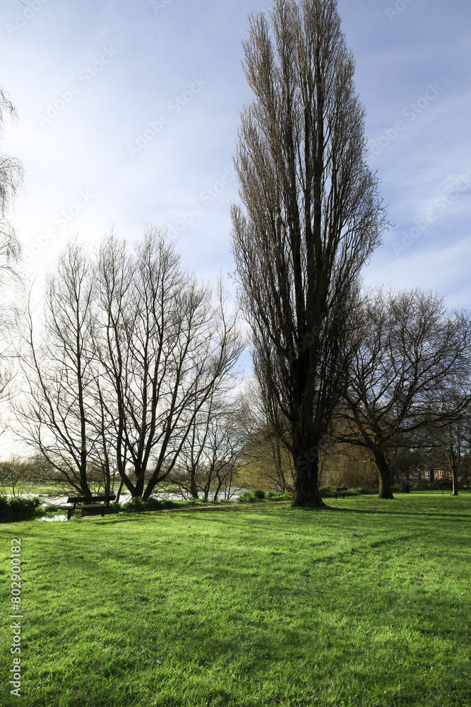 Obraz premium Queen Elizabeth Gardens in Salisbury city