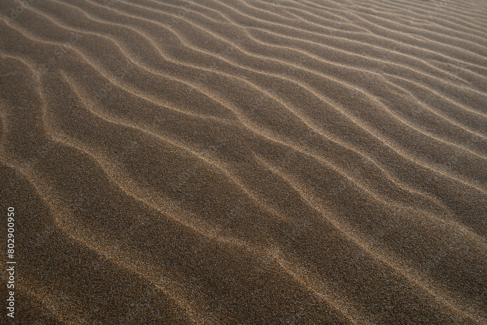 Beautiful sand waves or sand waves caused by the wind. Wind action constantly changes the height, shape, size and angle of the dunes. Ripple marks on coastal dunes caused by seasonal wind in autumn.
Beautiful sand waves or sand waves caused by the wind. Wind action constantly changes the height, shape, size and angle of the dunes. Ripple marks on coastal dunes caused by seasonal wind in autumn.