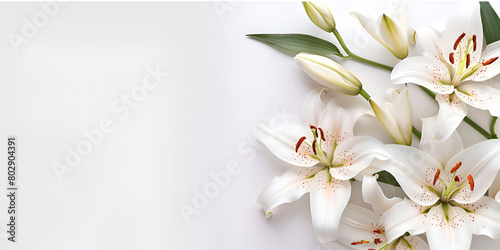 Elegant Lily Funeral Arrangement on White Background with Space for Text © Muhammad