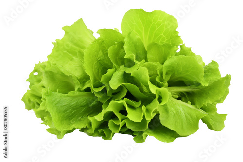 Ethereal Lettuce Dance. On a White or Clear Surface PNG Transparent Background.