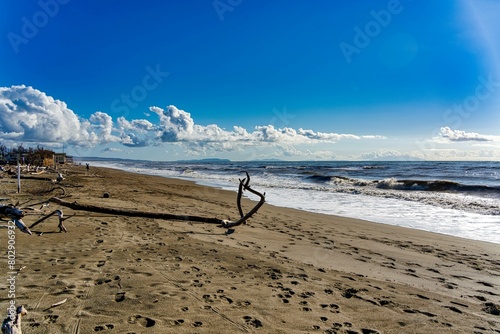Fototapeta Naklejka Na Ścianę i Meble -  Marine panorama from Tombolo beach in Marina di Cecina Livorno Tuscany Italy. In the foreground of beached timber