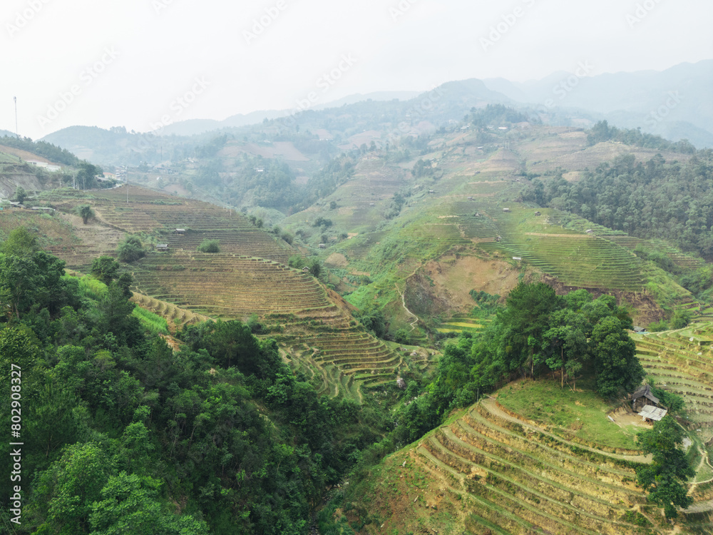 Obraz premium La Pan Tan, Mu Cang Chai, Yen Bai, Vietnam, Epic Drone Shot of Rice Fields in Northern Vietnam at Sunrise and Early Morning - layers of amazing landscape in May