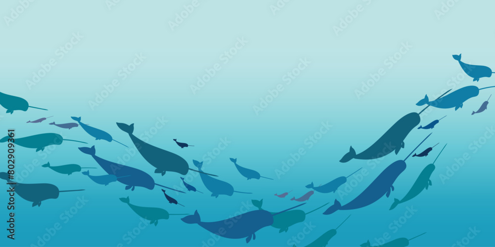 Narwhal school. Vector illustration of a group of narwhals swimming underwater. School of fish. Flat style. Narwhal school. Vector illustration of a group of narwhals swimming underwater. School of fish. Flat style.