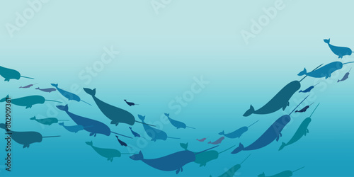 Narwhal school. Vector illustration of a group of narwhals swimming underwater. School of fish. Flat style.