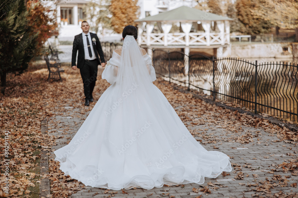 Obraz premium A bride and groom are walking down a path in a park. The bride is wearing a white dress and the groom is wearing a black suit. Scene is romantic and happy