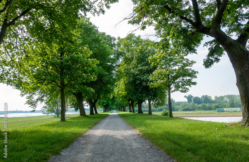 Wanderweg Wanderweg
