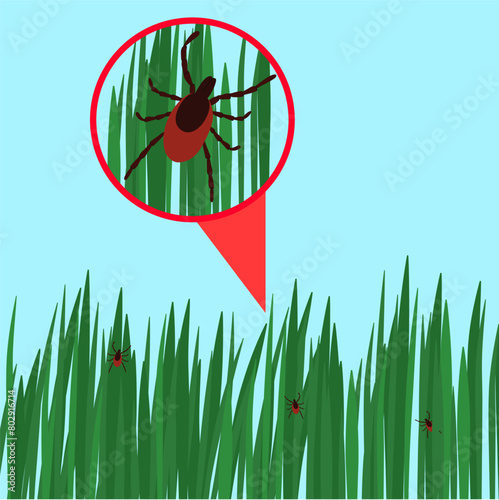 Tick in the green grass flat vector illustration. Danger tick bug in grass.Healthcare illustration.