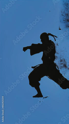 Warrior silhouette © Bogdan