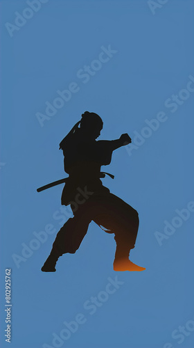 Warrior silhouette