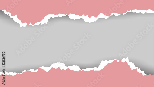Ripped paper. Vector of ripped paper. The paper was ripped background.