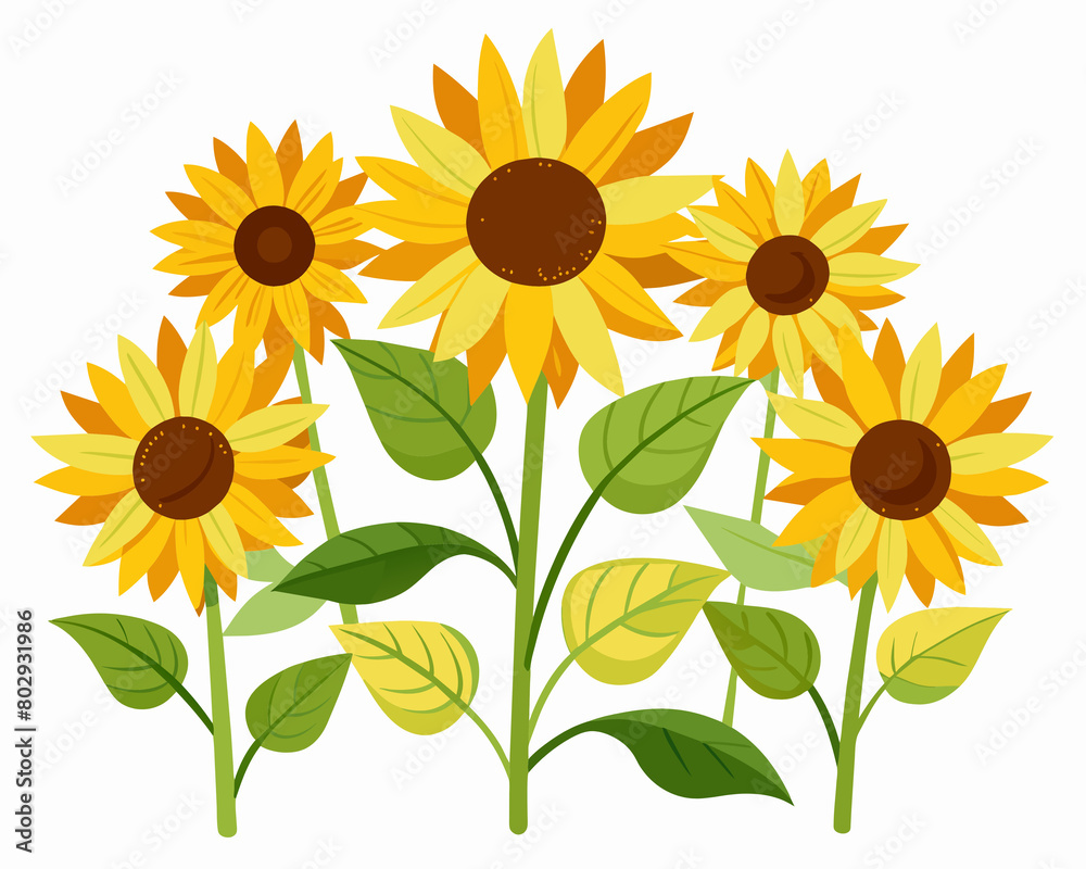 Obraz premium sunflower isolated on white background