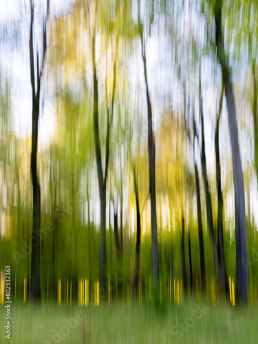 Laubwald im Frühling mit bewegter Kamera aufgenommen (ICM)
