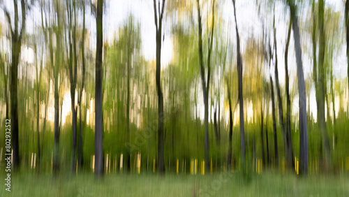 Laubwald im Frühling mit bewegter Kamera aufgenommen (ICM)