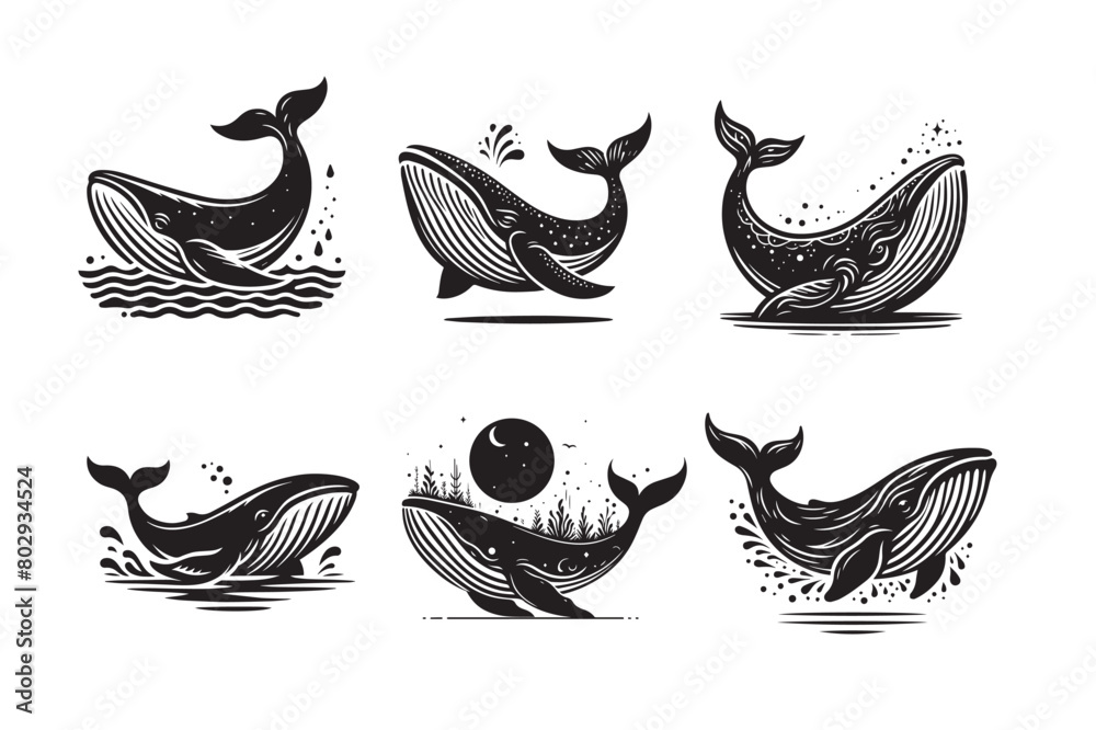 Fototapeta premium whale vector illustration