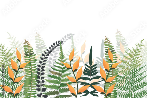 Fern horizontal banner with leaves.Vector illustration, border of fern on a white background, cartoon decorative seamless strip for summer and autumn season, design for cosmetics, homedesign.

