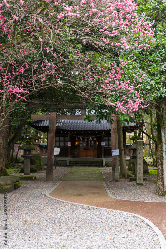 【縦写真】金沢の金谷神社