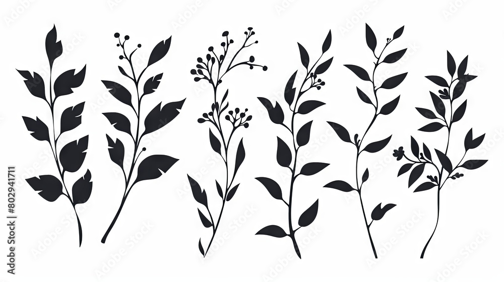 Naklejka premium Silhouettes of botanical elements in minimalistic black and white design