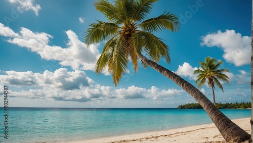 Beautiful palm tree on tropical island beach on background blue sky with white clouds and turquoise ocean on sunny day  Perfect natural landscape for summer vacation  ultra wide format