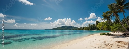 Beautiful palm tree on tropical island beach on background blue sky with white clouds and turquoise ocean on sunny day  Perfect natural landscape for summer vacation  ultra wide format