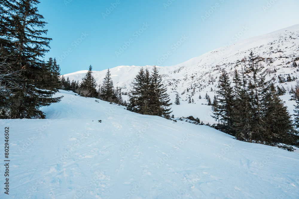 Alpine mountains landscape with white snow and blue sky. Frosty trees under warm sunlight. Wonderful wintry landscape High Tatras, slovakia