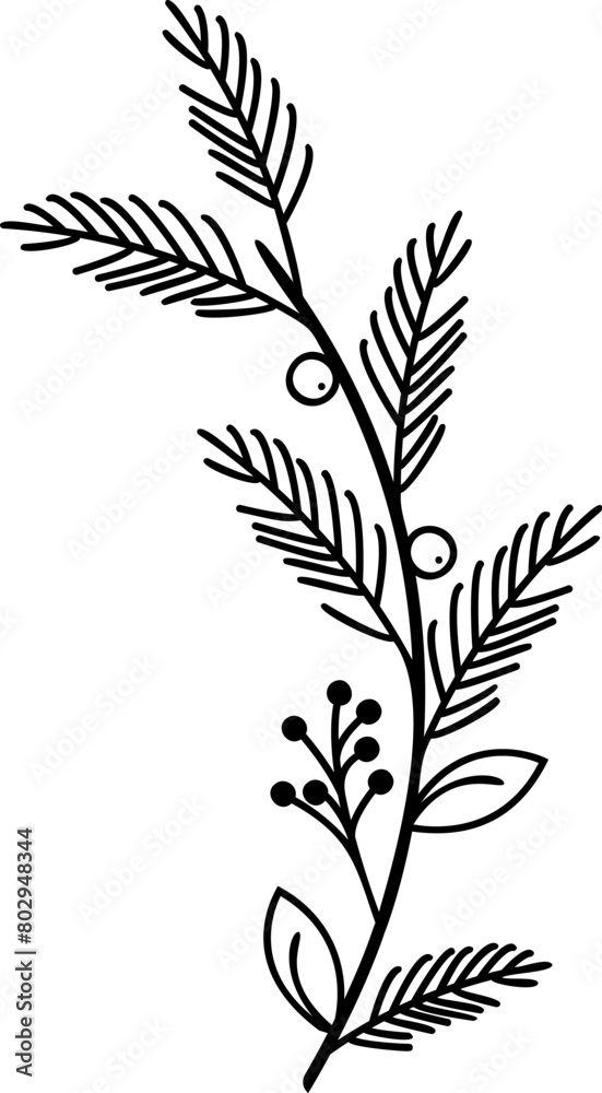 Christmas Branch with Berries, Spruce Twig, Xmas Wreath, Pointing Branch, Festive Holiday Decor. Botanical Winter Ornament.. Christmas Home Decoration Christmas Branch with Berries, Spruce Twig, Xmas Wreath, Pointing Branch, Festive Holiday Decor. Botanical Winter Ornament.. Christmas Home Decoration