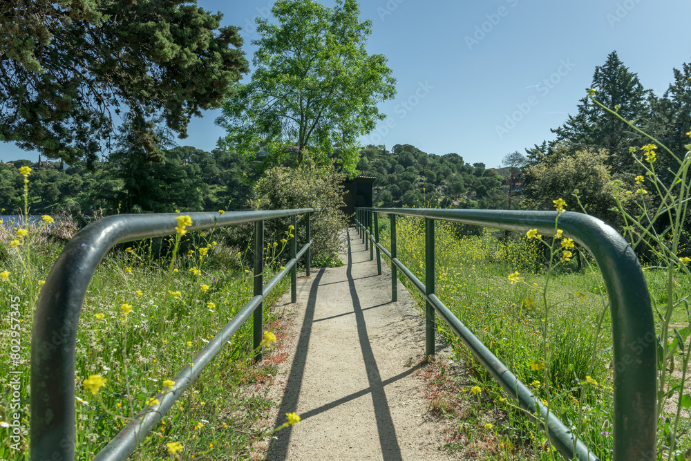 A walkway surrounded by plants and undergrowth with green metal railings A walkway surrounded by plants and undergrowth with green metal railings