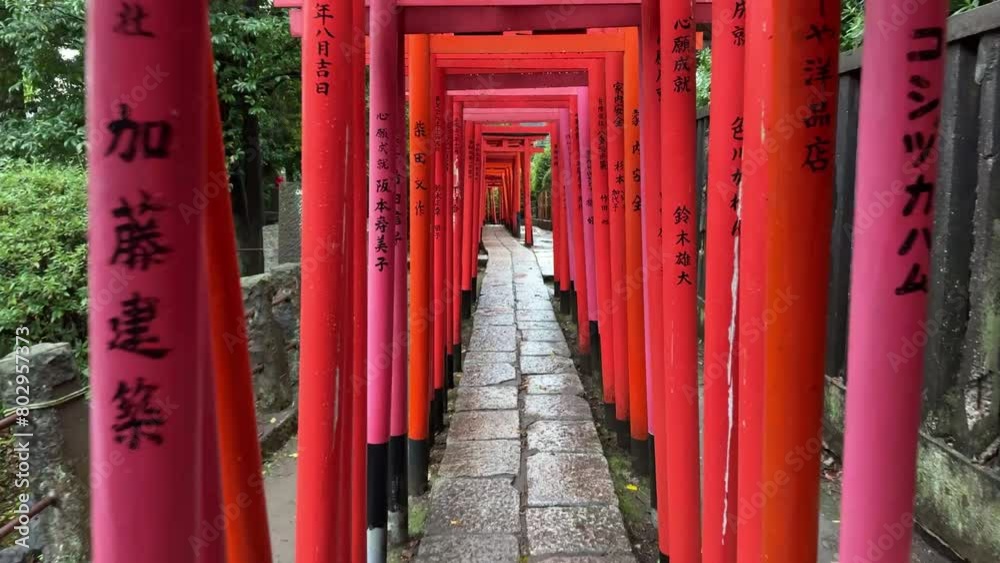 Travelling Shot of Empty Hie-jinja Shrine with Red Torii Gates in Autumn, Tokyo Travelling Shot of Empty Hie-jinja Shrine with Red Torii Gates in Autumn, Tokyo
