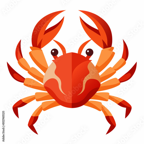 Crab vector art illustration (27)