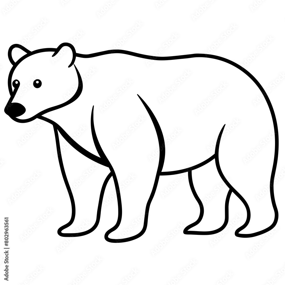Fototapeta premium polar bear vector illustration