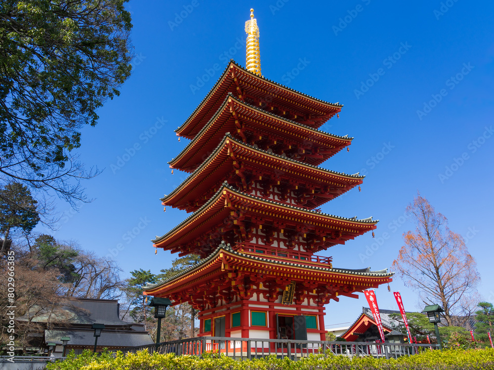 春の晴れた日 高幡不動尊の五重塔(東京都日野市) 春の晴れた日 高幡不動尊の五重塔(東京都日野市)