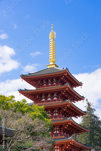 春の晴れた日 高幡不動尊の五重塔（東京都日野市）