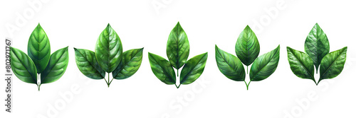 Set of A three green leaf 3d on a transparent background photo